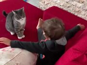 Kid Gets Attacked by Cat