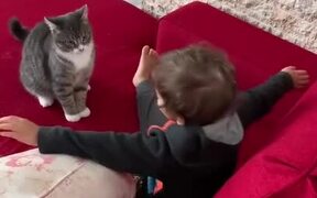 Kid Gets Attacked by Cat