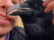 Raven Hilariously Interacts With Handler