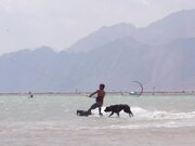 Dog Runs Behind Owner While He Does Kitesurfing