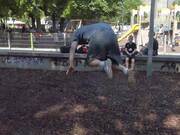 Man Performs Continuous Flip and Jump Tricks