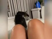 Cat Slips and Falls Into Bathtub