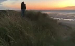 Cat and Owner Have Fun Day at the Beach