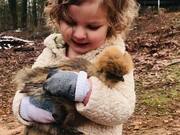 Little Girl Sings to Pet Chicken