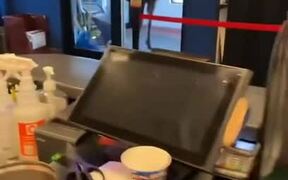 Moose Walks Into Store and Eats From Trashcan