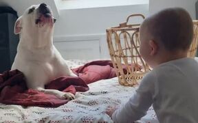 Toddler Giggles and Howls Along With Dog