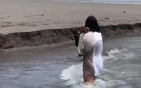 Dachshund Dog - Animals - Videotime.com