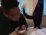 Cat Repeatedly Smacks Guy's Face With Their Tail