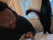 Cat Repeatedly Smacks Guy's Face With Their Tail