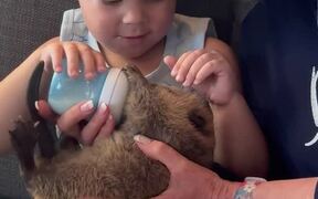 Little Boy Sitting With Grandmom Feeds Baby Beaver