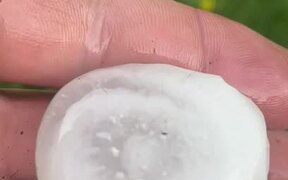 Guy Observes Pieces of Hail Inside His Yard