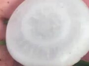 Guy Observes Pieces of Hail Inside His Yard