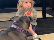 Puppy Waits For Little Girl to Offer Her Fruits