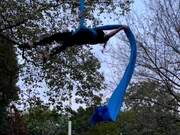 Woman Attempts Incredible Aerial Yoga Sequence