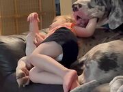Little Girl Has Half Her Arm in Pet Dog's Mouth