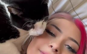 Cat Rips Owner's Eyelash and Runs With it
