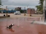 Dog Enjoys While Playing Around Water Fountains