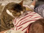 Pet Cat Comforts Crying Toddler