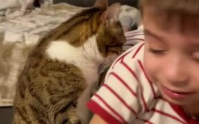 Pet Cat Comforts Crying Toddler