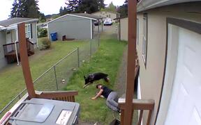 Dog Runs so Fast That it Causes Owner to Fall