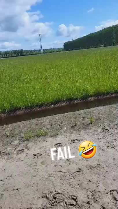 Dog Falls Into Mud While Coming Out of Grass Field