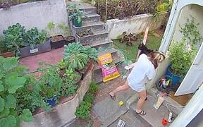 Cat Fails Miserably While Jump to Porch's Roof