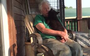 Baby Bear Climbs in Man's Lap and Cuddles With Him