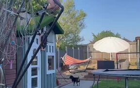 Guy Bounces Off Trampoline and Crashes on Ground