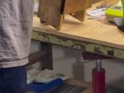 Person Rescues Baby Birds and Builds Birdhouse