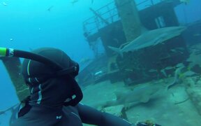 Man Dives Into Deep Water and Visits Shipwreck