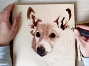 Person Creates Portrait of Dog