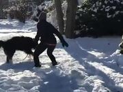 Dog and Woman Enjoy Playtime in Snow