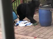 Bear Tries to Steal Barrel Full of Dog Food