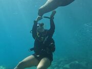 Scuba Diver Plays With Sea Lion