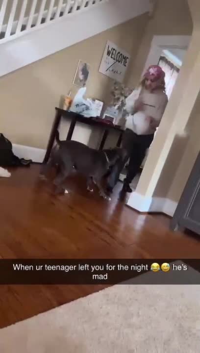 Dog Collides With Woman and Makes Her Fall