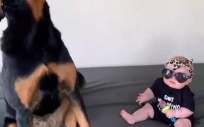 Dog Treats Toddler As Their Best Mate