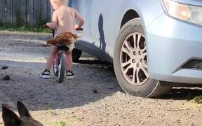 Toddler Takes Chicken on Ride on His Bike