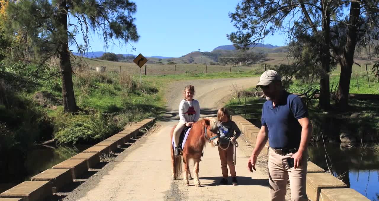 Kid's Photo Shoot Goes Wrong When Pony Freaks Out