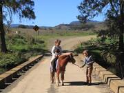 Kid's Photo Shoot Goes Wrong When Pony Freaks Out