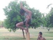 Mallakhamb Students Perform Yoga on Pole