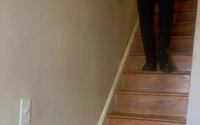 Student Falls Down Stairs
