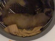 Cat Uses Washing Machine as Hamster Wheel
