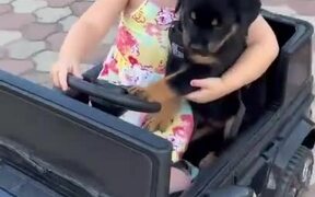 Girl Shows Off Her Adventure-filled Days With Dog