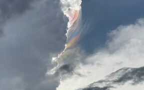 Extraordinary Rainbow-Colored Phenomenon