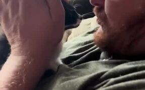 Kitten Wipes Kisses Off Her Face