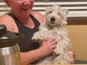 Dog Laughs as His Owner Tickles Him
