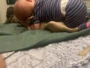 Pug Receives Warm Hug From Toddler