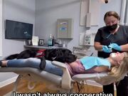 Service Dog Helps Owner With Daily Routine