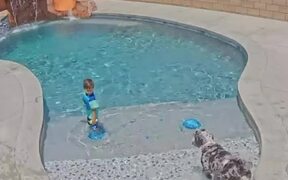 Dog Falls Face First Into Pool While Following Kid