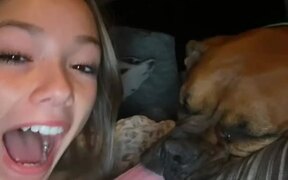 Girl Shows Long Tongue of Her Sleeping Dog